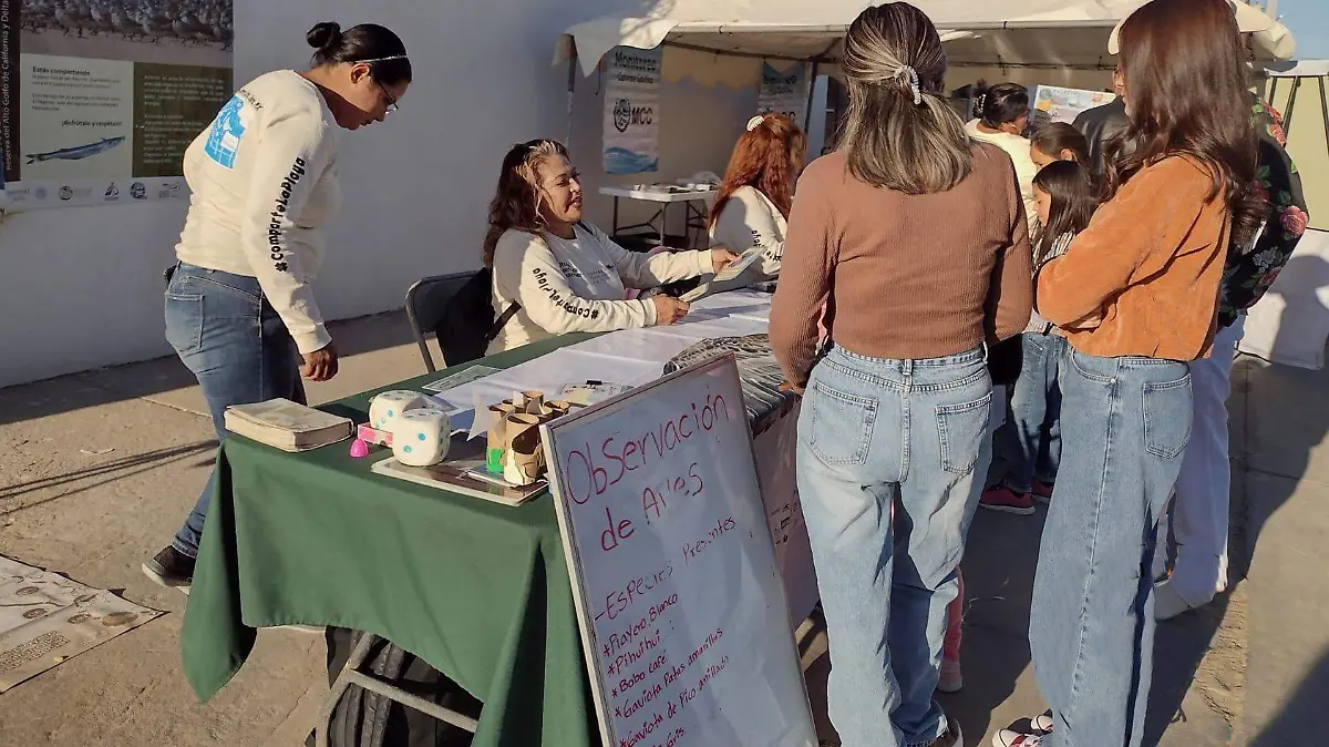 Los turistas reciben información sobre el proceso de desove del pejerrey en el Golfo de Santa Clara